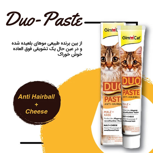 خمیر مالت گربه جیم کت مدل Duo Paste طعم پنیر وزن 50 گرم